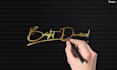 design a professional elegant feminine logo