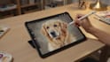design a custom pet portrait in digital art style