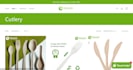 build a professional shopify store