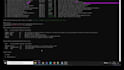 perform manual penetration testing and vulnerability assessment for your web app