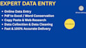 do professional data entry, typing, and copy paste work