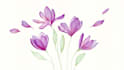 create custom botanical illustrations