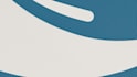 animate your logo or a custom 2d animations
