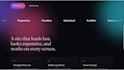 code custom apps, programs, and browser tools for you