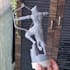 model printable stl model for resin printing,tabletop model,action figure,zbrusb