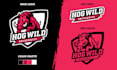 design mascot logo for school, college or sports team