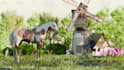 make stunning and realistic environments in 3d