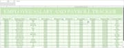 create professional excel spreadsheets and data entry