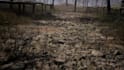 create open world environments survival maps 3d levels in unreal engine unity