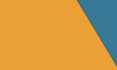 design custom posts and carousel for social media platforms
