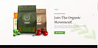 build professional ecommerce website or online store for startups and businesses