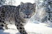 create cinematic ai videos and animations