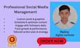 facebook and instagram ads management to maximize ROI