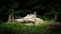 do 3d product animation video and 3d cgi product animation