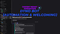 setup a professional discord server with bots and roles