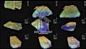 orthophoto, dtm, dsm, contours, dense point cloud