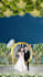 digital invitations for wedding