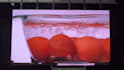 purchase,source, inspect led display screen