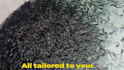 be your fish breeding and hatchery management consultant