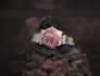retouch your product photos