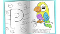 create a custom kids coloring book for amazon KDP