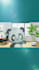 animate an ad for you