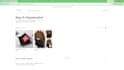 build a ready to launch shopify dropshipping store with products and branding