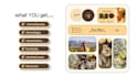design a custom cohesive youtube branding kit