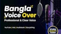 professional bangla voice artist,