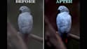 do image editing and retouch