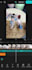 simple video editing is completed in one day