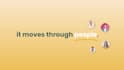 create engaging saas explainer video, saas animation, saas demo video