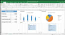 do data analysis and pivot tables and dashboards
