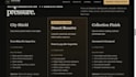 design a professional auto detailing business website