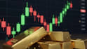 provide professional forex market analysis and insights