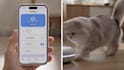 create ai product video ads for your app saas or startup
