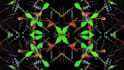 create dj and vj music visuals and looping animations