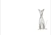 create whimsical animal character illustrations