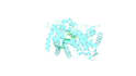 perform molecular docking using autodock vina and GPU