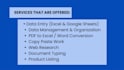 do professional data services and transcription services