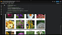 do proffesional object detection, classification, computer vision, opencv, yolo