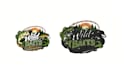 do professional embroidery digitizing for logo dst pes