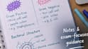 be your online microbiology tutor