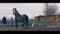 edit your video professionally with color grading in davinci resolve