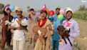 do happy birthday video