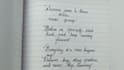 do  english and urdu handwritten notes, assignments, letters