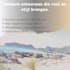 design social media posts