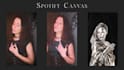 create a spotify canvas animation for your song