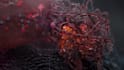 create 3d medical animation for cancer immunotherapy biotech pharmaceutical