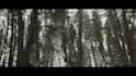 vfx compositing visual effect, blood effect, horror vfx fire cgi 3d animation